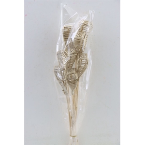 Lata Lamp 10pc Bag