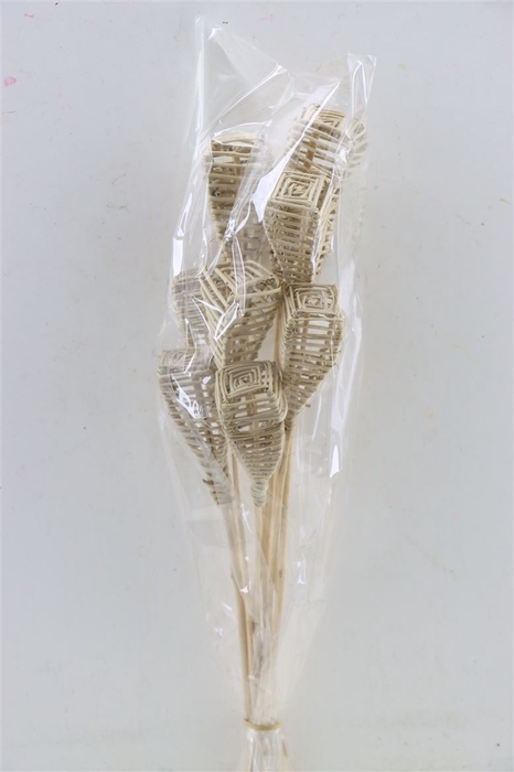 <h4>Lata Lamp 10pc Bag</h4>