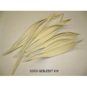 DROOG COCO GEBLEEKT