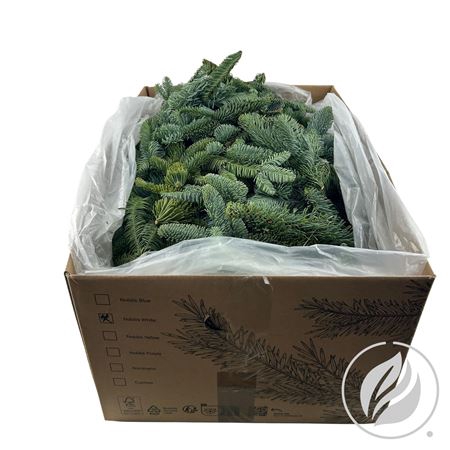 <h4>NOBILIS WITBAND VEERTJES 8KG</h4>