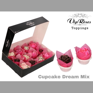 R GR CUPCAKE DREAM MIX