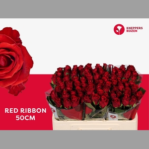 R GR RED RIBBON