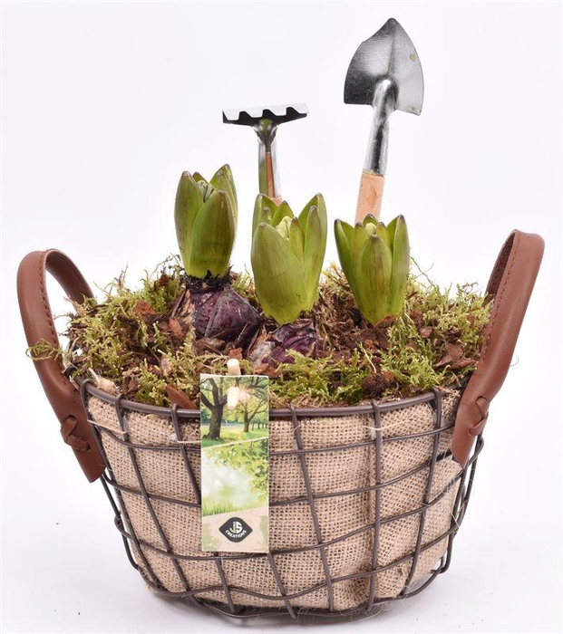 <h4>Gaasmand ovaal met jute 25x20cm</h4>