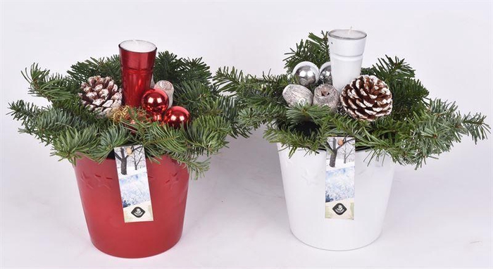 <h4>Keramiek ster decor pot 13.5cm</h4>