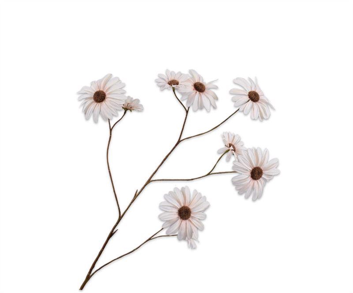 <h4>MARGRIET TAK PERZIK</h4>