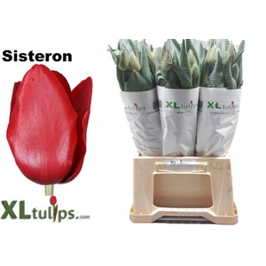 TU EN OV