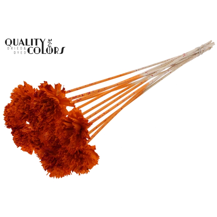<h4>Shola Karnish Flower 6cm on stem Splashed Orange/Red</h4>