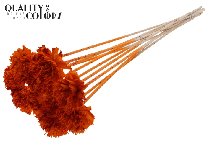 Shola Karnish Flower 6cm on stem Splashed Orange/Red
