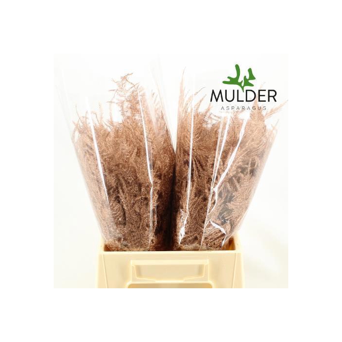 <h4>ASP OV KLB H%</h4>