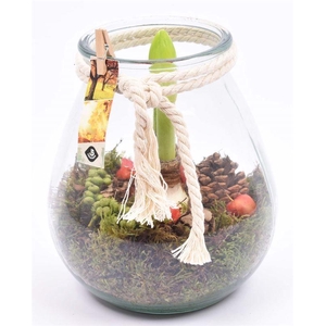 Glas bol met wit touw 22cm