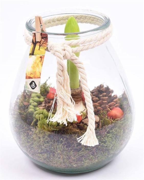 <h4>Glas bol met wit touw 22cm</h4>