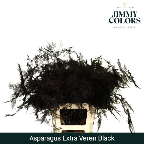 <h4>Aspa Extra Veren Black</h4>