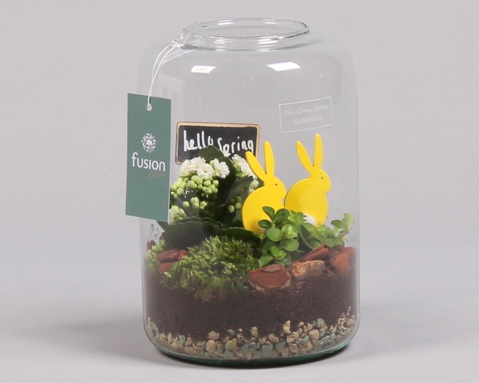 <h4>Green Bottle Isabella Small Pasen met Arrangement</h4>
