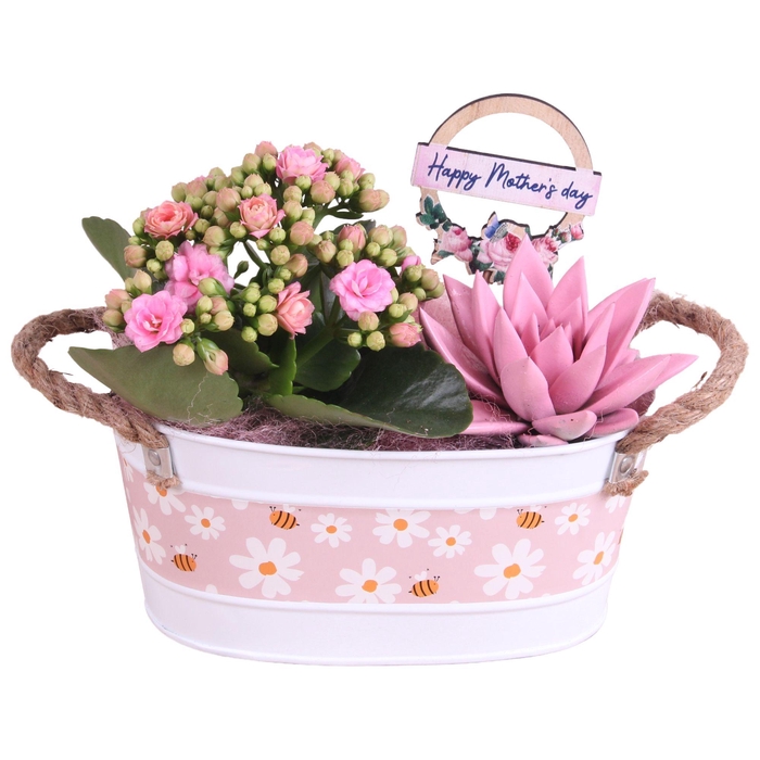 <h4>Mothersday Arr. Indoor Zinc White + Flowers & Bees Ø19cm 2PP</h4>