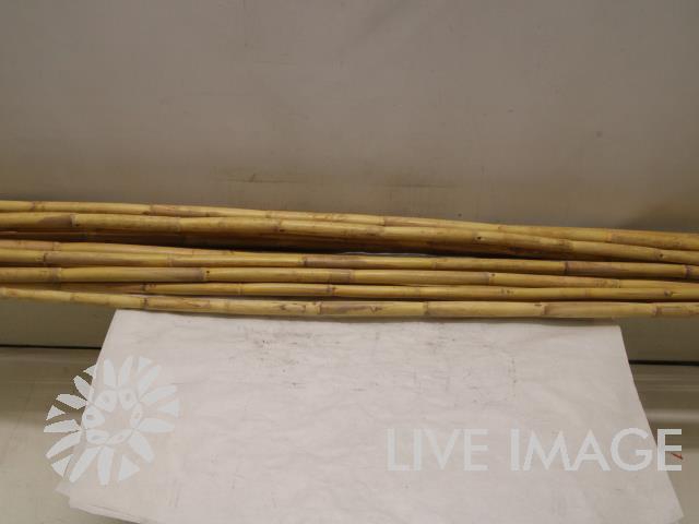 Deco dried bamboo bleached 200cm