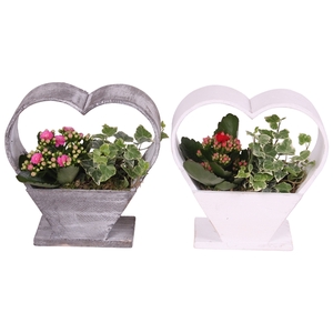 Valentine Arr. Indoor Wooden Heartshape Arcpot Ø20cm 2PP