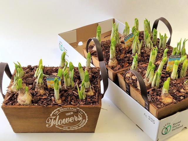 <h4>ARR N TETE A TETE</h4>