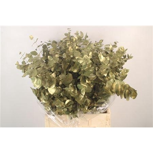 Euc Cin V Metallic Olive 400 Gram