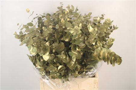 <h4>Euc Cin V Metallic Olive 400 Gram</h4>