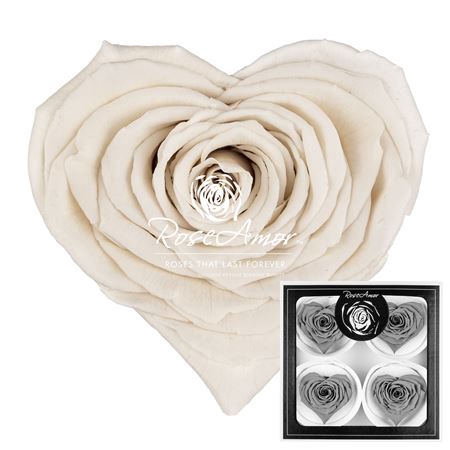 Corazon Bella Whi04