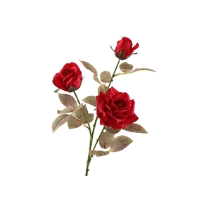 Rosa Spray Dried Red