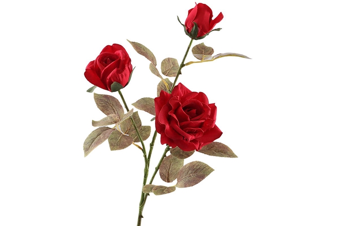 <h4>Rosa Spray Dried Red</h4>