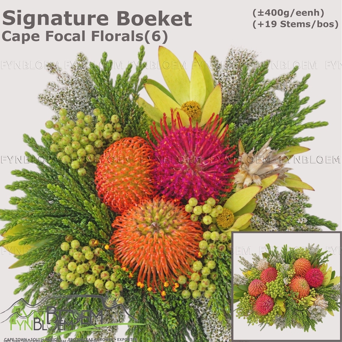 <h4>PROTEA PER BOS</h4>