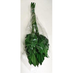 DROOG PALMSPEAR GREEN P.DS