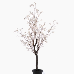 Blossom Tree in Pot Cream PP550060CRM