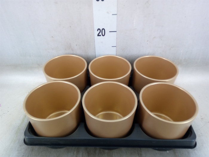 <h4>Pot   ...Keramische H%</h4>