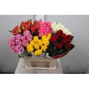 R Gr Gemengd In Fust