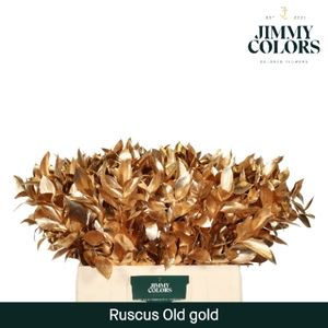 Ruscus L60 Mtlc. Antiek Goud