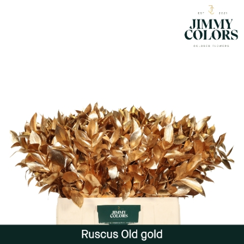 <h4>Ruscus L60 Mtlc. Antiek Goud</h4>