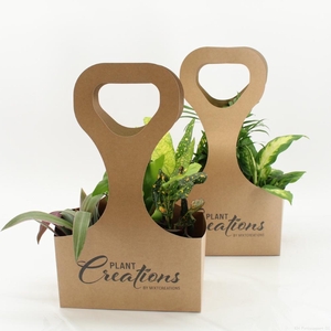 Tas 3 Ecotas met 3 planten