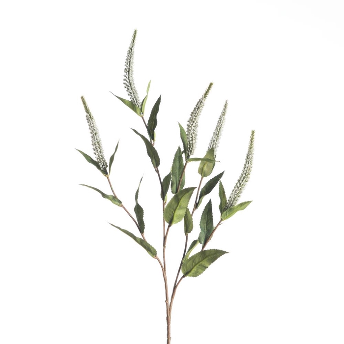 AF Veronica x5 L72cm White