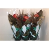 Anthu An Delicata 5-6