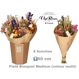 DRIED BOUQUET MEDIUM MULTI