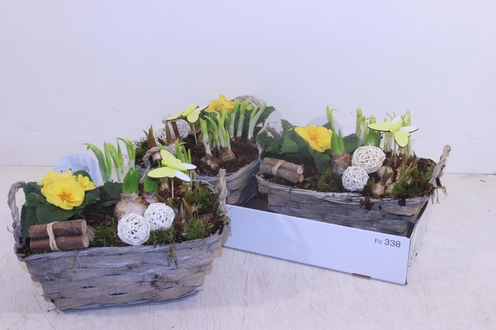 <h4>ARR TUINPLANTEN</h4>