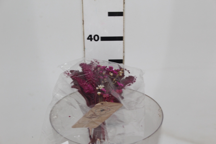 <h4>PLANTA SECA MINI BUQUE VARIADO PINK 25 CM</h4>