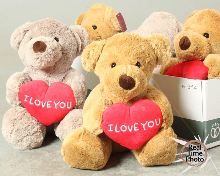 <h4>HUIS EN TUINDECO H%</h4>