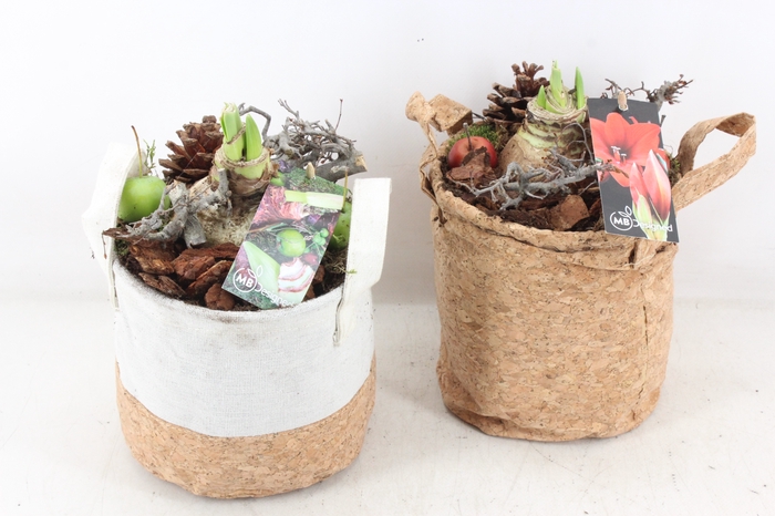 <h4>arr4 Amaryllis MB - Kurk/jute tas mix 338/6</h4>