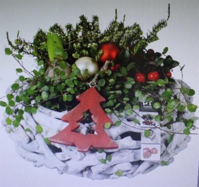 <h4>1912 XXL WW LATJES</h4>