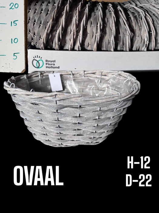 <h4>MANDWERK H%</h4>