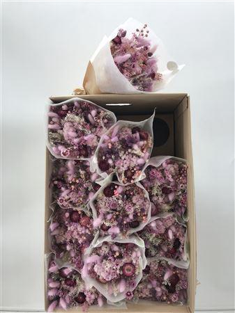 Dr Bqt Dried Fantasy Lilla