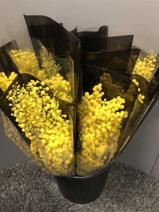 Acacia Mirandole C Black 200 Gr Neutro