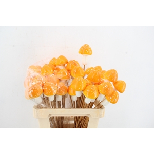 Stick Mushroom 9cm Orange