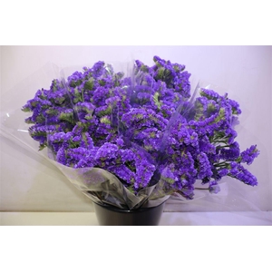 Lim S Cryst Dark Blu X5