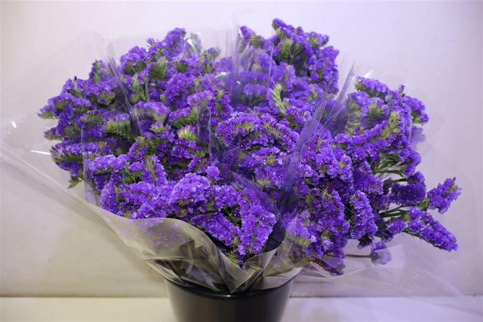 <h4>Lim S Cryst Dark Blu X5</h4>