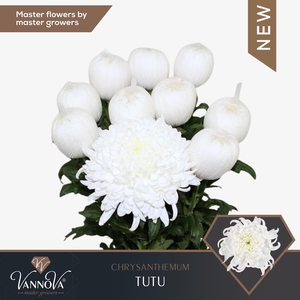 CHR G TUTU