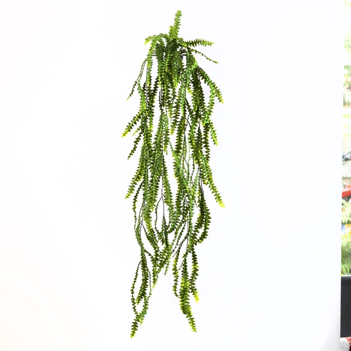 Banksia Leaf Hanging Plant in Pot Green GR110055GRN